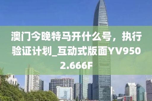 澳門今晚特馬開什么號，執行驗證計劃_互動式版面YV9502.666F