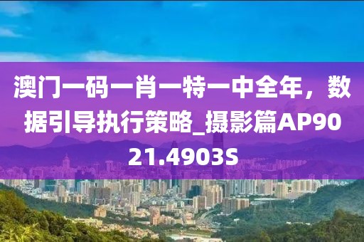 澳門一碼一肖一特一中全年，數(shù)據(jù)引導(dǎo)執(zhí)行策略_攝影篇AP9021.4903S