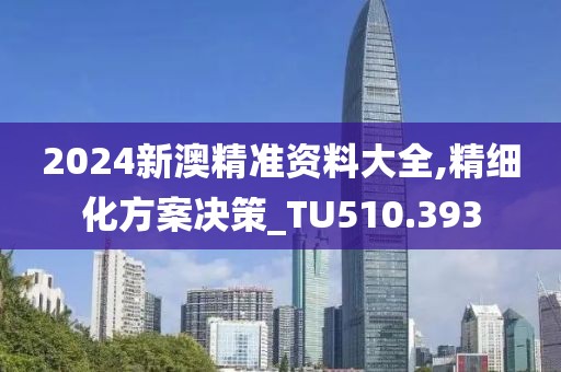 2024新澳精準資料大全,精細化方案決策_TU510.393