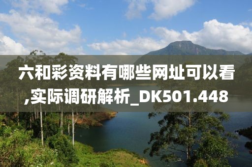 六和彩資料有哪些網址可以看,實際調研解析_DK501.448