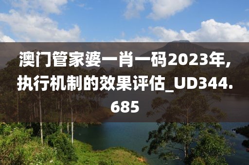 澳門管家婆一肖一碼2023年,執行機制的效果評估_UD344.685