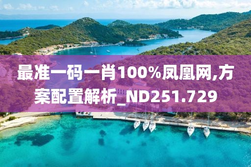 最準一碼一肖100%鳳凰網(wǎng),方案配置解析_ND251.729