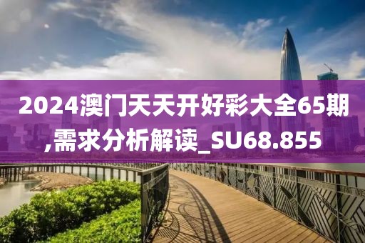 2024澳門天天開好彩大全65期,需求分析解讀_SU68.855