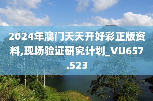 2024年澳門天天開好彩正版資料,現場驗證研究計劃_VU657.523