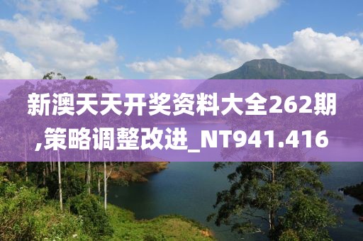 新澳天天開獎資料大全262期,策略調整改進_NT941.416