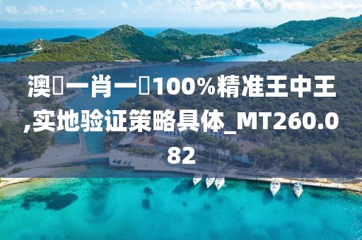 澳門一肖一碼100%精準(zhǔn)王中王,實(shí)地驗(yàn)證策略具體_MT260.082