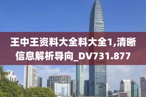 王中王資料大全料大全1,清晰信息解析導向_DV731.877
