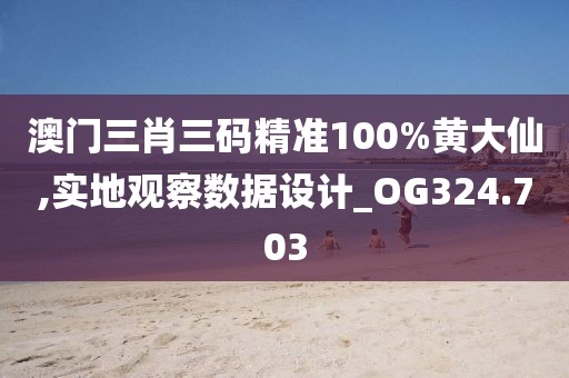 澳門三肖三碼精準(zhǔn)100%黃大仙,實(shí)地觀察數(shù)據(jù)設(shè)計(jì)_OG324.703