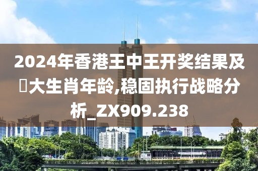 2024年香港王中王開獎結果及枓大生肖年齡,穩固執行戰略分析_ZX909.238