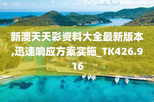 新澳天天彩資料大全最新版本,迅速響應方案實施_TK426.916