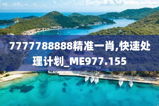 7777788888精準一肖,快速處理計劃_ME977.155