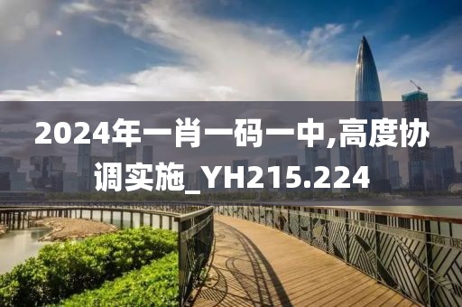 2024年一肖一碼一中,高度協(xié)調(diào)實(shí)施_YH215.224
