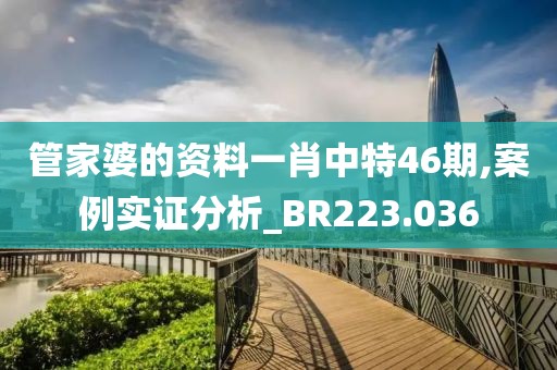 管家婆的資料一肖中特46期,案例實證分析_BR223.036