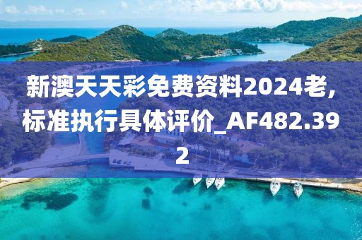新澳天天彩免費資料2024老,標準執行具體評價_AF482.392