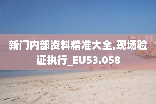 新門內部資料精準大全,現場驗證執行_EU53.058