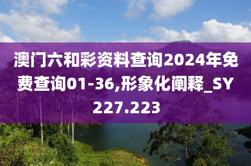 澳門六和彩資料查詢2024年免費查詢01-36,形象化闡釋_SY227.223