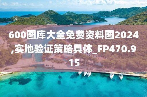 600圖庫大全免費資料圖2024,實地驗證策略具體_FP470.915