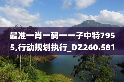 最準(zhǔn)一肖一碼一一子中特7955,行動(dòng)規(guī)劃執(zhí)行_DZ260.581