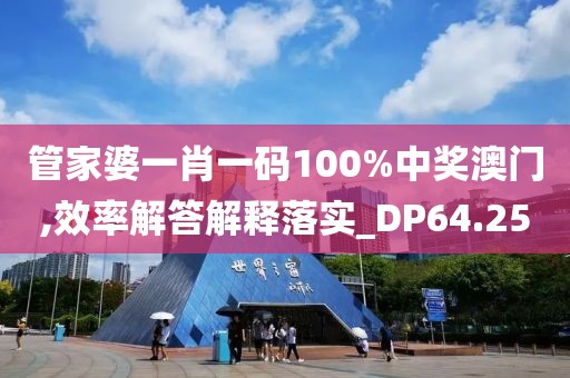管家婆一肖一碼100%中獎澳門,效率解答解釋落實_DP64.25
