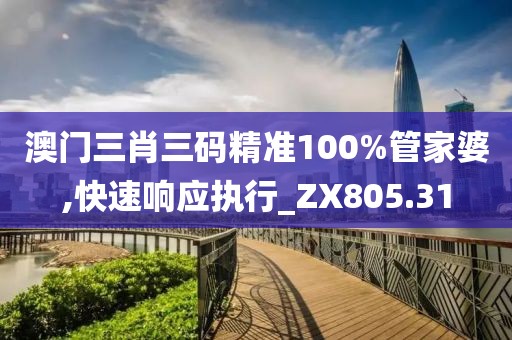 澳門三肖三碼精準100%管家婆,快速響應執行_ZX805.31
