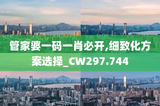 管家婆一碼一肖必開,細致化方案選擇_CW297.744