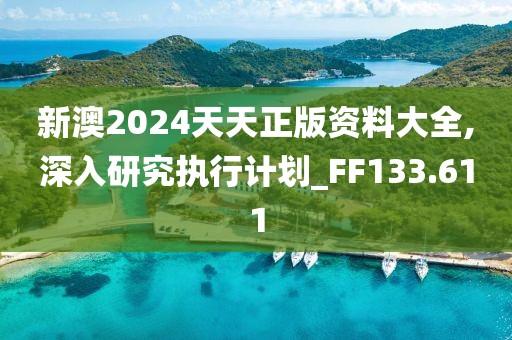 新澳2024天天正版資料大全,深入研究執(zhí)行計(jì)劃_FF133.611