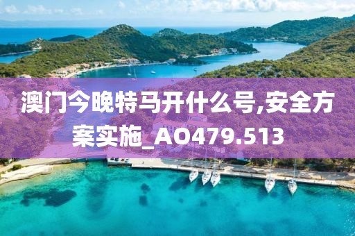 澳門今晚特馬開什么號,安全方案實施_AO479.513