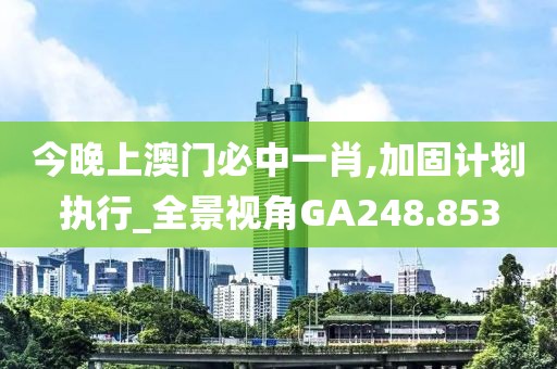 今晚上澳門必中一肖,加固計(jì)劃執(zhí)行_全景視角GA248.853
