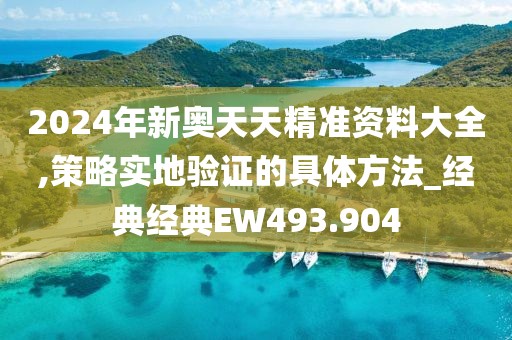 2024年新奧天天精準資料大全,策略實地驗證的具體方法_經典經典EW493.904