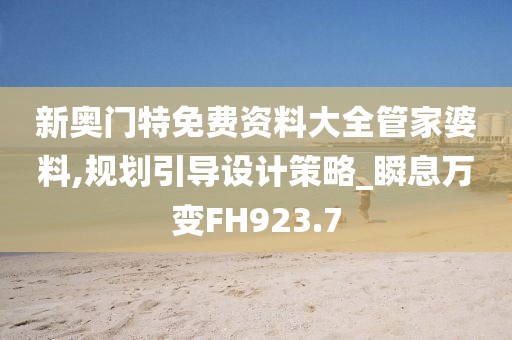 新奧門特免費資料大全管家婆料,規劃引導設計策略_瞬息萬變FH923.7