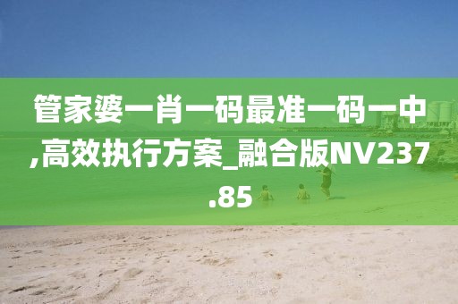 管家婆一肖一碼最準(zhǔn)一碼一中,高效執(zhí)行方案_融合版NV237.85