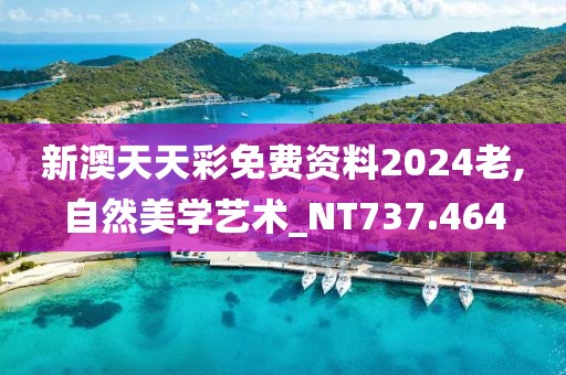 新澳天天彩免費資料2024老,自然美學藝術_NT737.464