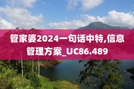 管家婆2024一句話中特,信息管理方案_UC86.489