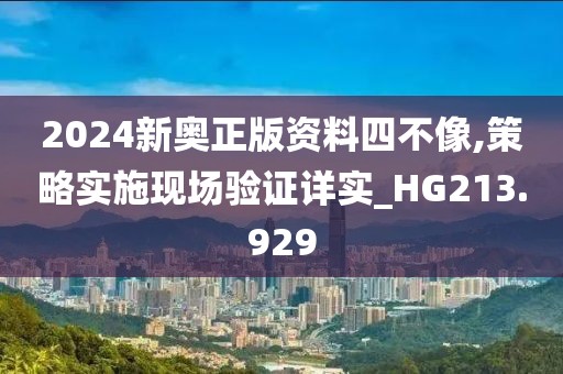 2024新奧正版資料四不像,策略實施現場驗證詳實_HG213.929