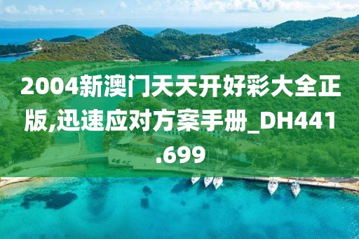 2004新澳門天天開好彩大全正版,迅速應對方案手冊_DH441.699