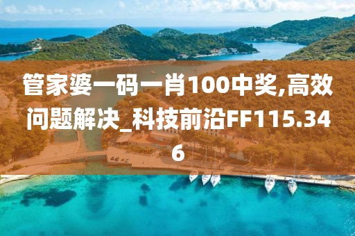管家婆一碼一肖100中獎,高效問題解決_科技前沿FF115.346