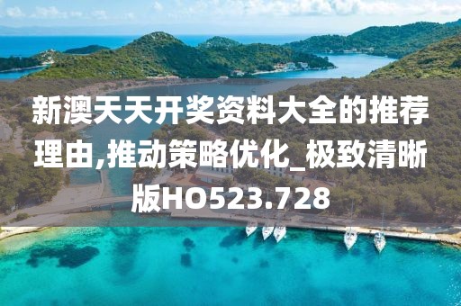 新澳天天開獎資料大全的推薦理由,推動策略優化_極致清晰版HO523.728