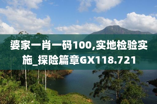 婆家一肖一碼100,實地檢驗實施_探險篇章GX118.721