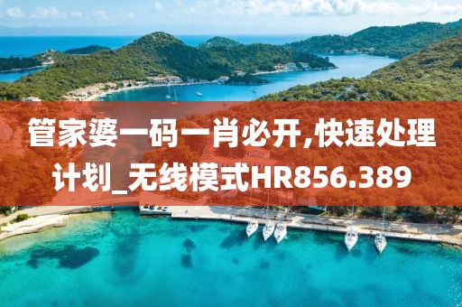 管家婆一碼一肖必開,快速處理計劃_無線模式HR856.389