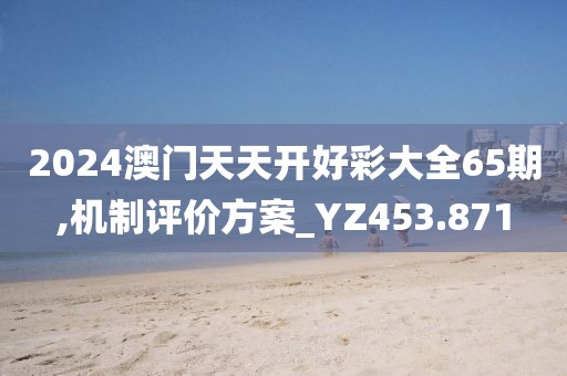 2024澳門天天開好彩大全65期,機制評價方案_YZ453.871
