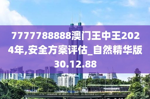 7777788888澳門王中王2024年,安全方案評估_自然精華版30.12.88