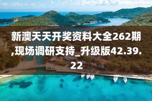 新澳天天開獎資料大全262期,現場調研支持_升級版42.39.22