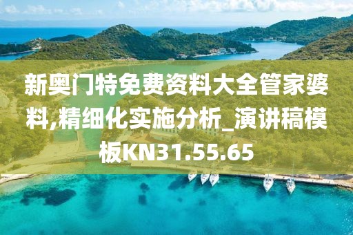 新奧門特免費資料大全管家婆料,精細化實施分析_演講稿模板KN31.55.65