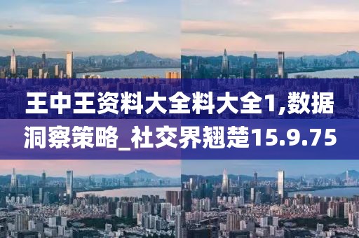 王中王資料大全料大全1,數(shù)據(jù)洞察策略_社交界翹楚15.9.75