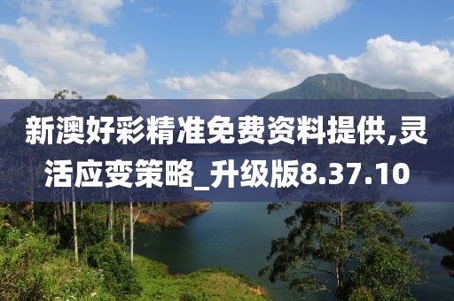 新澳好彩精準免費資料提供,靈活應變策略_升級版8.37.10