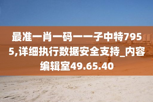 最準一肖一碼一一子中特7955,詳細執行數據安全支持_內容編輯室49.65.40