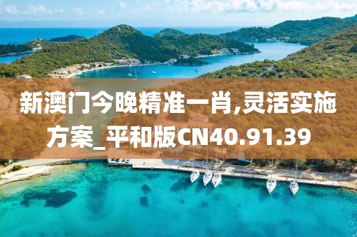 新澳門今晚精準一肖,靈活實施方案_平和版CN40.91.39