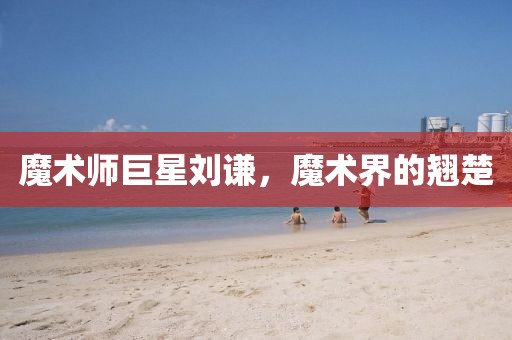 魔術師巨星劉謙，魔術界的翹楚