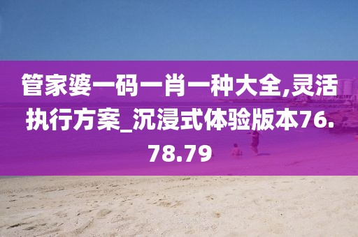 管家婆一碼一肖一種大全,靈活執行方案_沉浸式體驗版本76.78.79