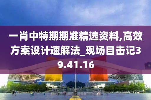 一肖中特期期準精選資料,高效方案設計速解法_現場目擊記39.41.16